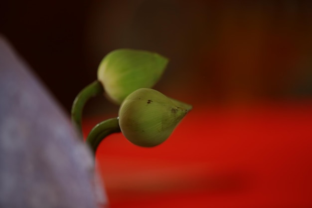 The Power of Compounding: Grow $5,000 to $50,000 in 20 Years