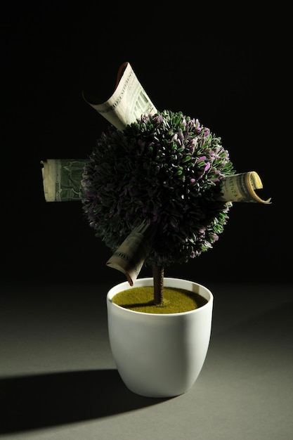 Investing in Dividend Aristocrats: Your Strategy for Consistent Income