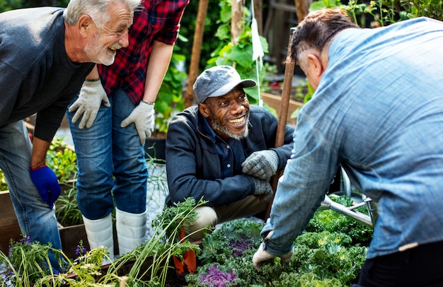 Diversification: Reduce Risk & Boost Returns in Your Portfolio